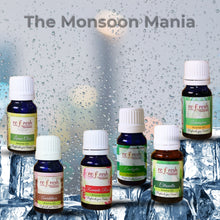 Load image into Gallery viewer, The Monsoon Mania  | Set of 6 Aroma Oils