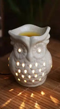 Load image into Gallery viewer, Electric Diffuser - Owl | Buy Electric Diffuser Online | Electric Aroma Oil Diffuser