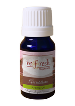 Load image into Gallery viewer, Amrutdhara Aroma Oil (Kapoor Oil)
