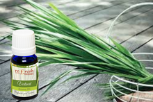 Load image into Gallery viewer, Vertivert Aroma Oil