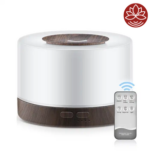 Humidifier Hom10 with Pack of 3 Aroma Oil
