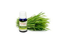 Load image into Gallery viewer, Vertivert Aroma Oil