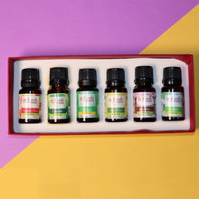 Load image into Gallery viewer, The Monsoon Mania  | Set of 6 Aroma Oils