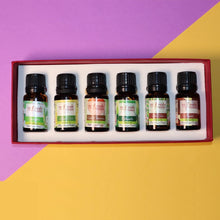 Load image into Gallery viewer, The Indian Inspirations | Set of 6 Aroma Oils