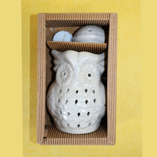 Load image into Gallery viewer, Electric Diffuser - Owl | Buy Electric Diffuser Online | Electric Aroma Oil Diffuser