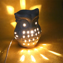 Load image into Gallery viewer, Electric Diffuser - Owl | Buy Electric Diffuser Online | Electric Aroma Oil Diffuser
