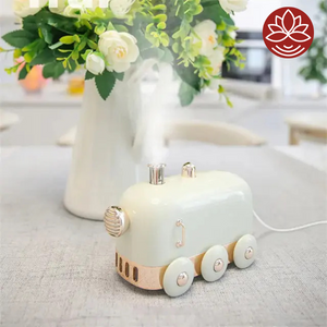 Humidifier Train with 3 Aroma Oils