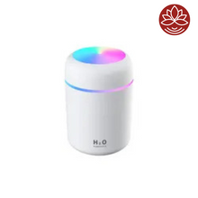 Load image into Gallery viewer, Humidifier H2O with 2 Aroma Oils
