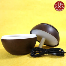 Load image into Gallery viewer, Rakhi Speical - Humidifier with 2 Aroma Oil

