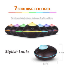 Load image into Gallery viewer, Rakhi Speical - Humidifier With 3 Aroma Oils
