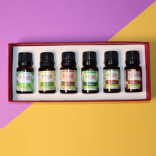 Load image into Gallery viewer, The Indian Inspirations | Set of 6 Aroma Oils
