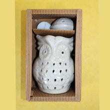 Load image into Gallery viewer, Electric Diffuser - Owl | Buy Electric Diffuser Online | Electric Aroma Oil Diffuser
